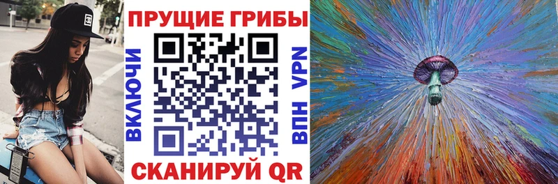 где найти   Гусиноозёрск  Галлюциногенные грибы Psilocybe 